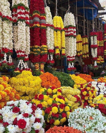 Bangalore: Sacred Bull & Culture Walk in Basavanagudi 1