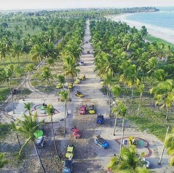 Picture 3 for Activity Porto de Galinhas: 4-hour buggy tour from end to end 2