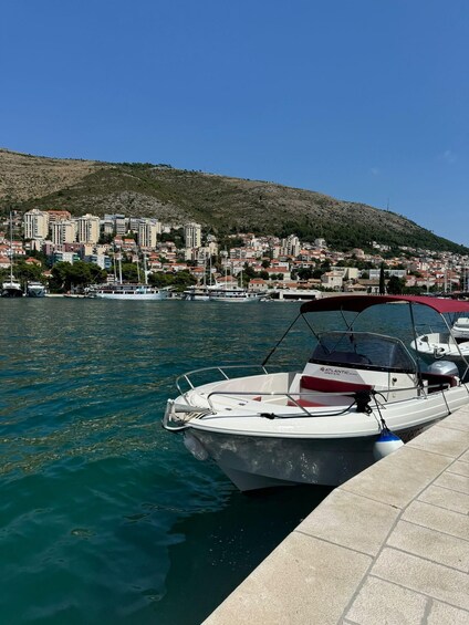 A marina with boats docked, a clear blue sky, and a hillside town in the background. 2