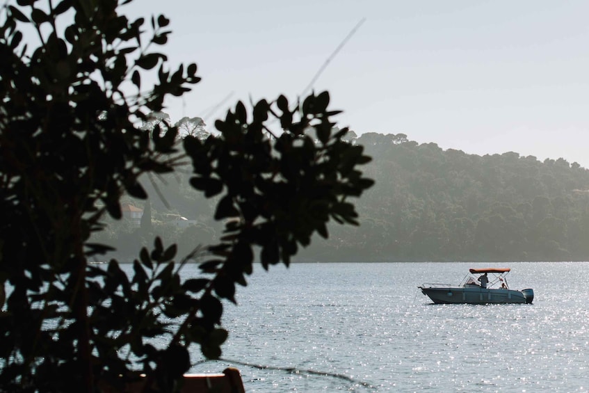 A small boat on calm water with a forested hill in the background. 4
