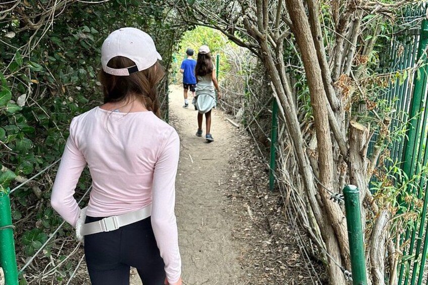 Guided Coastal Hike and Ecology Tour in Dana Point 3