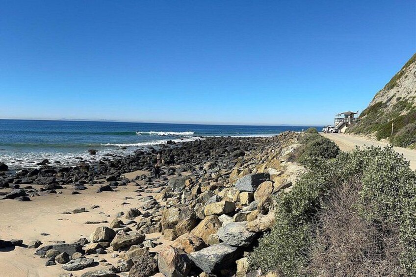 Guided Coastal Hike and Ecology Tour in Dana Point 5