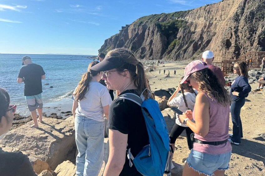 A group of people on a rocky beach with cliffs in the background. 3
