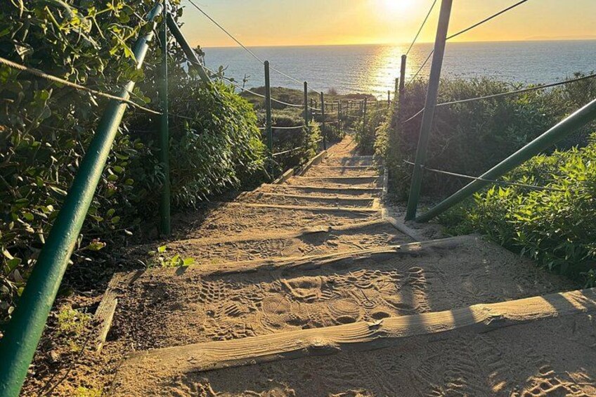 Guided Coastal Hike and Ecology Tour in Dana Point 1