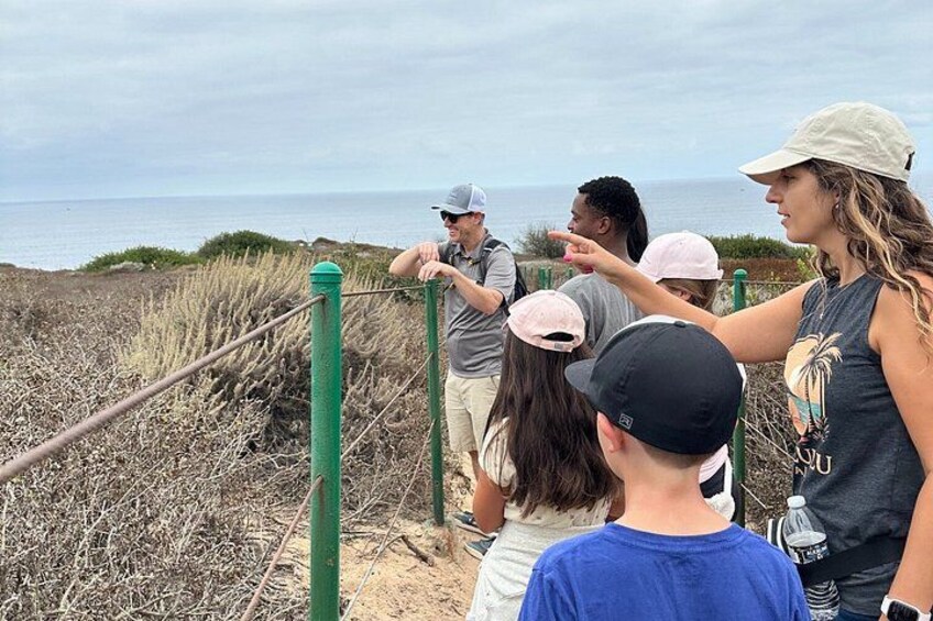 Guided Coastal Hike and Ecology Tour in Dana Point 3
