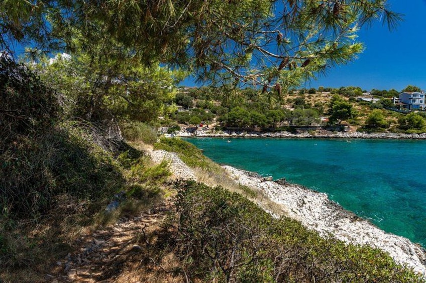 Un sentiero costiero con alberi, un mare blu limpido e un edificio sullo sfondo. 4