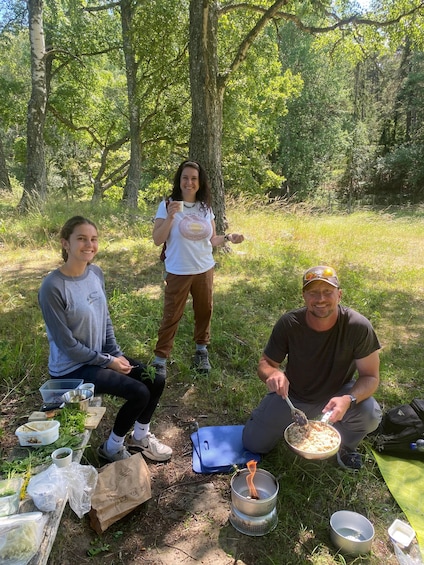 Picture 4 for Activity Mushroom, Plant & Berry Foraging with a PhD Biologist 5