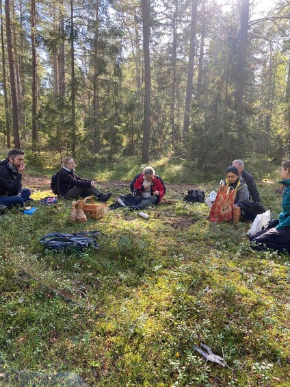 Picture 13 for Activity Mushroom, Plant & Berry Foraging with a biologist 2