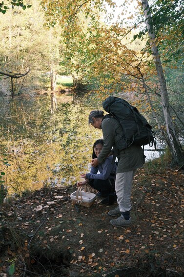 Picture 4 for Activity Mushroom, Plant & Berry Foraging with a biologist 5