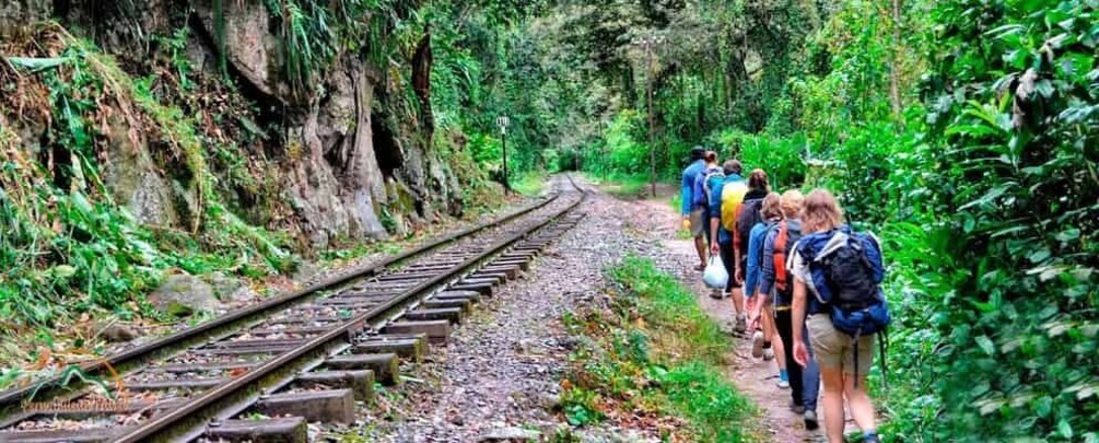 A group of hikers on a forested trail next to railway tracks. 5