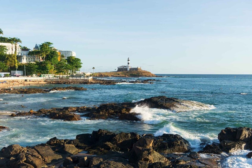 Picture 13 for Activity Salvador: Museu Náutico da Bahia Private Tour with Tickets 4