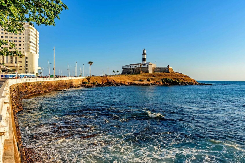 Picture 6 for Activity Salvador: Museu Náutico da Bahia Private Tour with Tickets 5