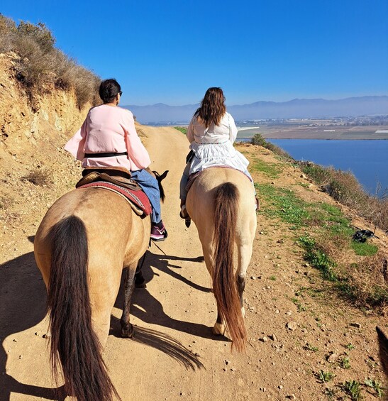 Picture 1 for Activity Ensenada: Baja’s Hidden Trails: Horseback Ride w/ Ocean View 2