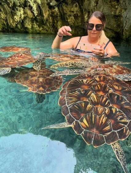 Una persona nada con tortugas marinas en aguas cristalinas. 1