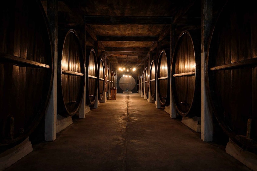 A dimly lit cellar with wooden barrels aligned along the walls. 3