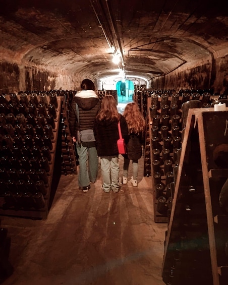 A dimly lit cellar with rows of wine bottles. 4