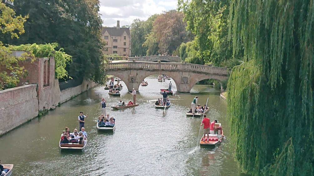 The Most Entertaining Tour of Cambridge - By an Ex-Student! 1