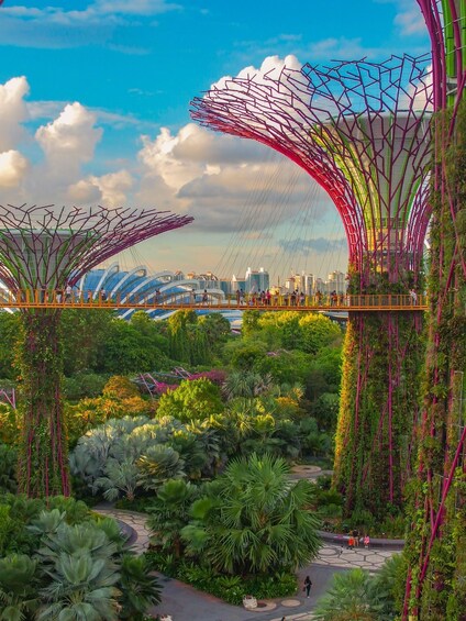 Picture 3 for Activity Singapore: Gardens by the Bay & Sustainable Landmarks Tour 2