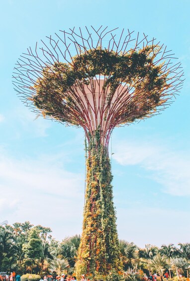 Picture 1 for Activity Singapore: Gardens by the Bay & Sustainable Landmarks Tour 4