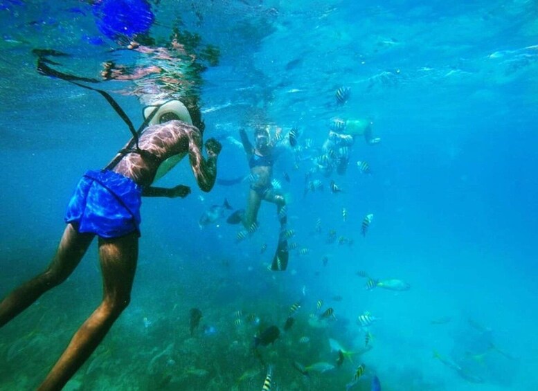 Picture 3 for Activity Full Day Sail and Snorkel with Turtles 2
