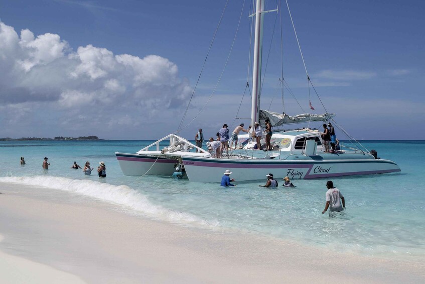 Picture 10 for Activity Full Day Sail and Snorkel with Turtles 4