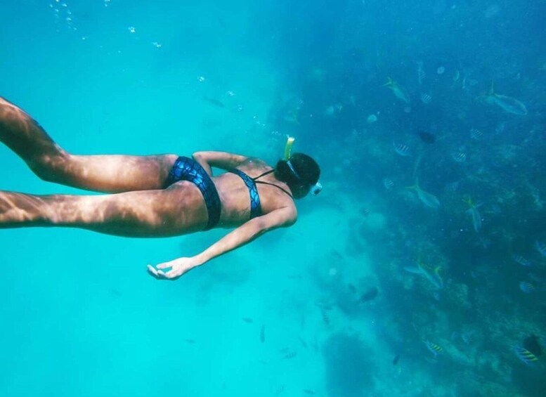 Picture 5 for Activity Full Day Sail and Snorkel with Turtles 3