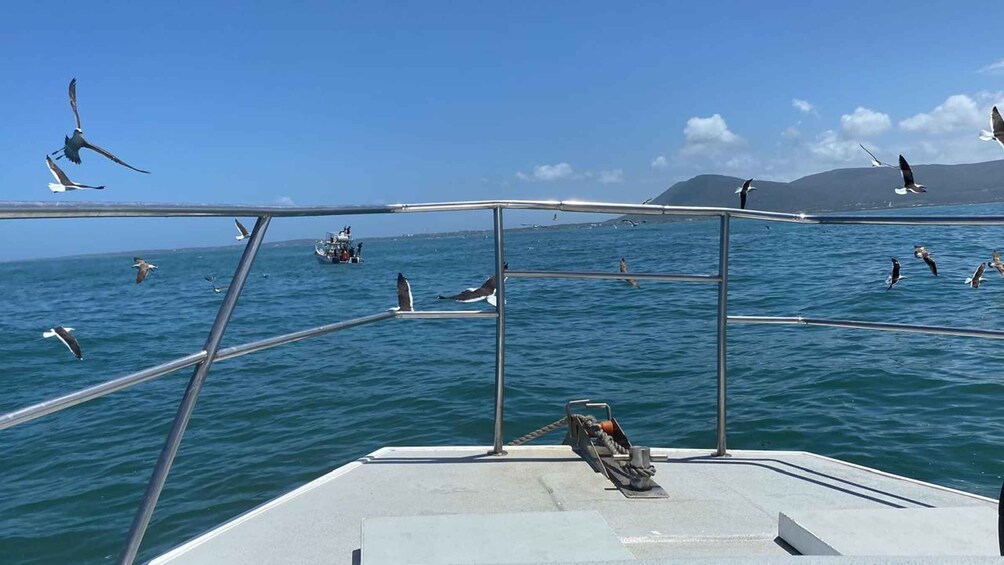 Un bote con barandillas metálicas y una persona de pie en la cubierta. 4