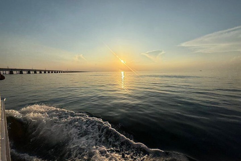 Florida Keys Sunset Cruise with Champagne Toast and Seafood 2