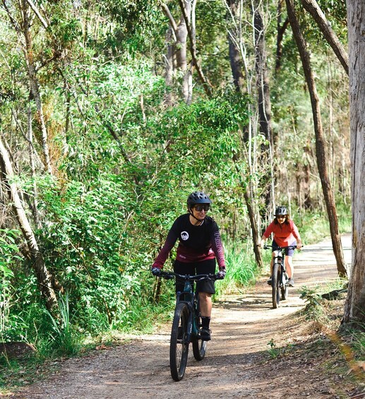 Two cyclists on a forest trail. 3