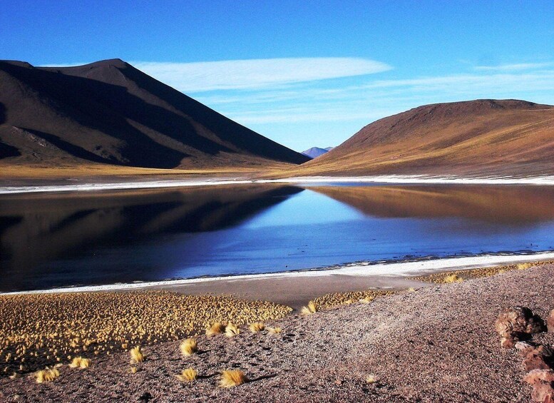 Picture 3 for Activity Triple Tour: Piedras Rojas + Altiplanic Lagoons + Chaxa Lagoon 3