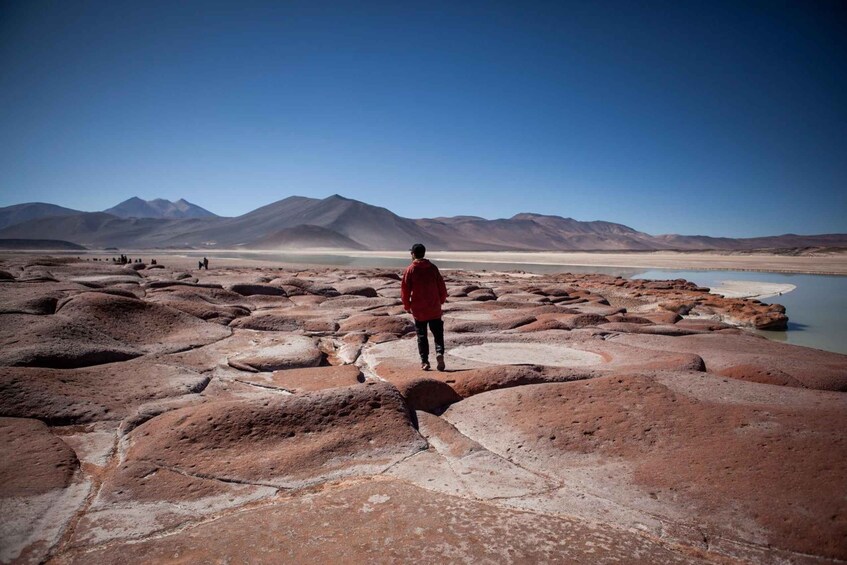 Picture 1 for Activity Triple Tour: Piedras Rojas + Altiplanic Lagoons + Chaxa Lagoon 2