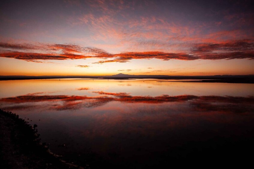 Triple Tour: Piedras Rojas + Altiplanic Lagoons + Chaxa Lagoon 1