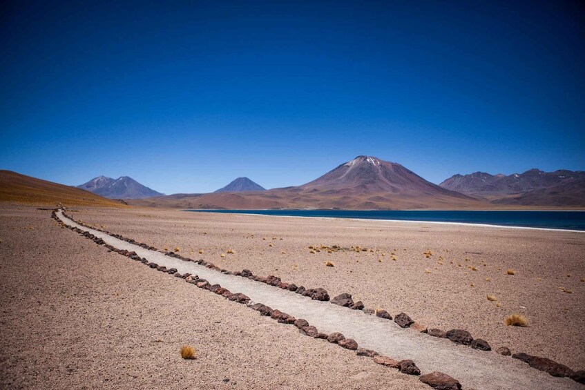 Picture 2 for Activity Triple Tour: Piedras Rojas + Altiplanic Lagoons + Chaxa Lagoon 5