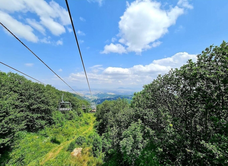 A cable car system amidst lush greenery and a clear blue sky. 1