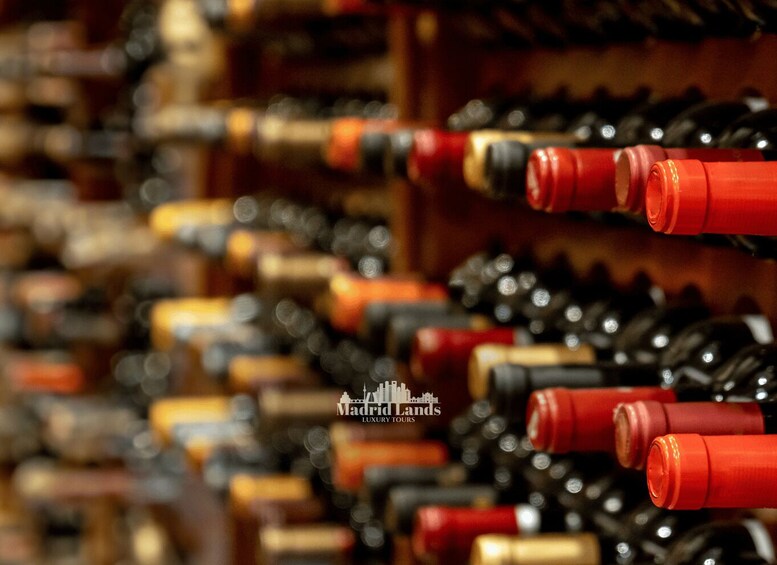 Madrid: Luxury Winery Emilio Moro Tour 1