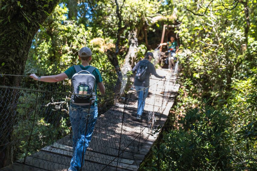 Picture 10 for Activity El Pital, the highest place in El Salvador 3
