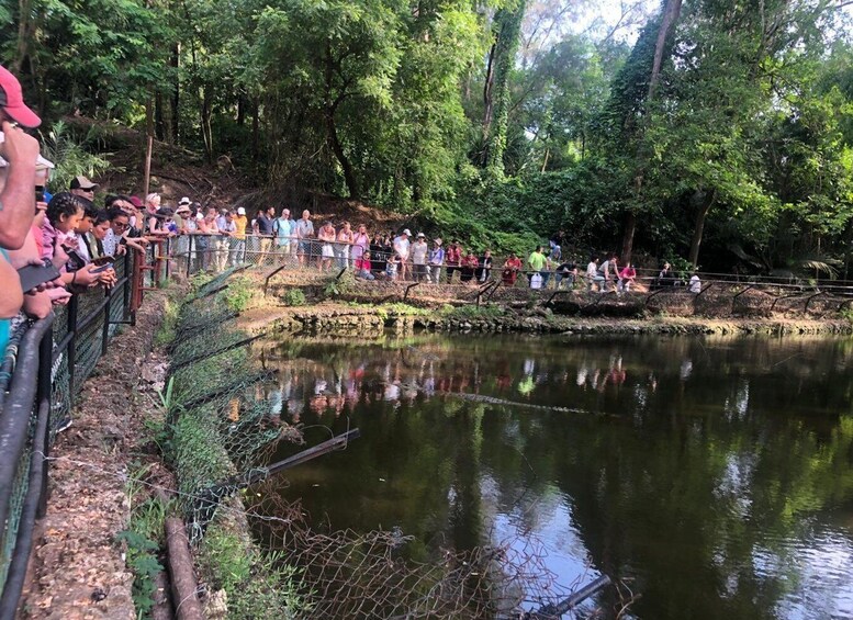 A group of people standing by a pond in a wooded area. 2