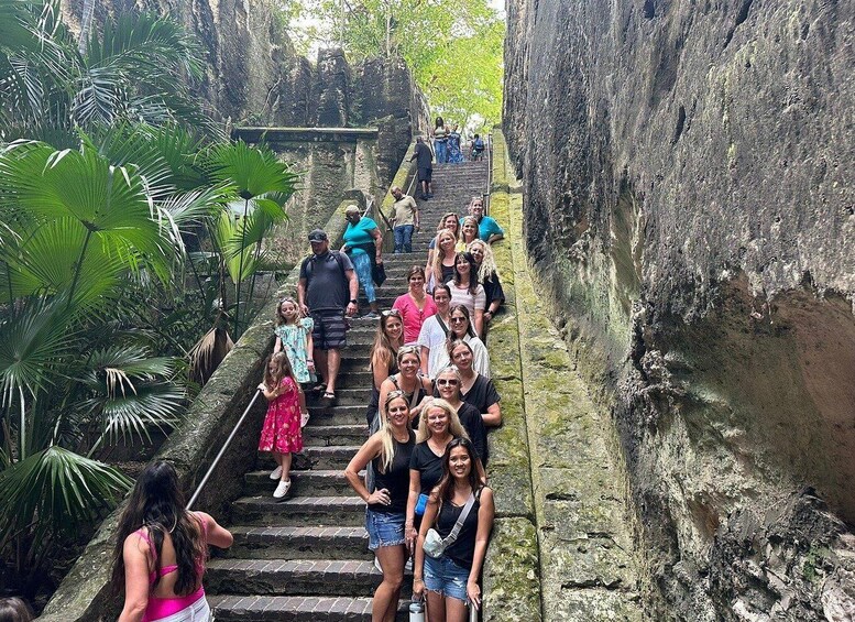 A group of people ascending a stone staircase surrounded by lush greenery. 1