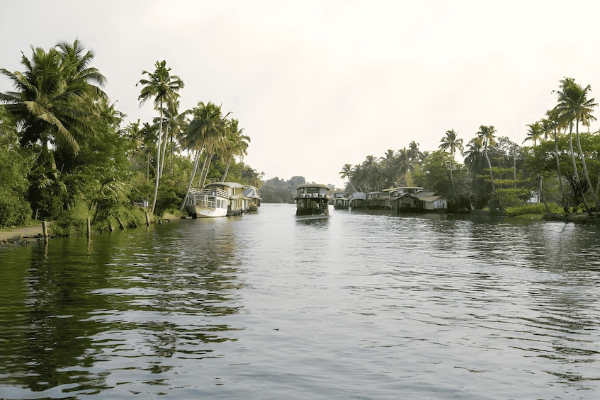 A calm river with houses on stilts and palm trees lining the banks. 3