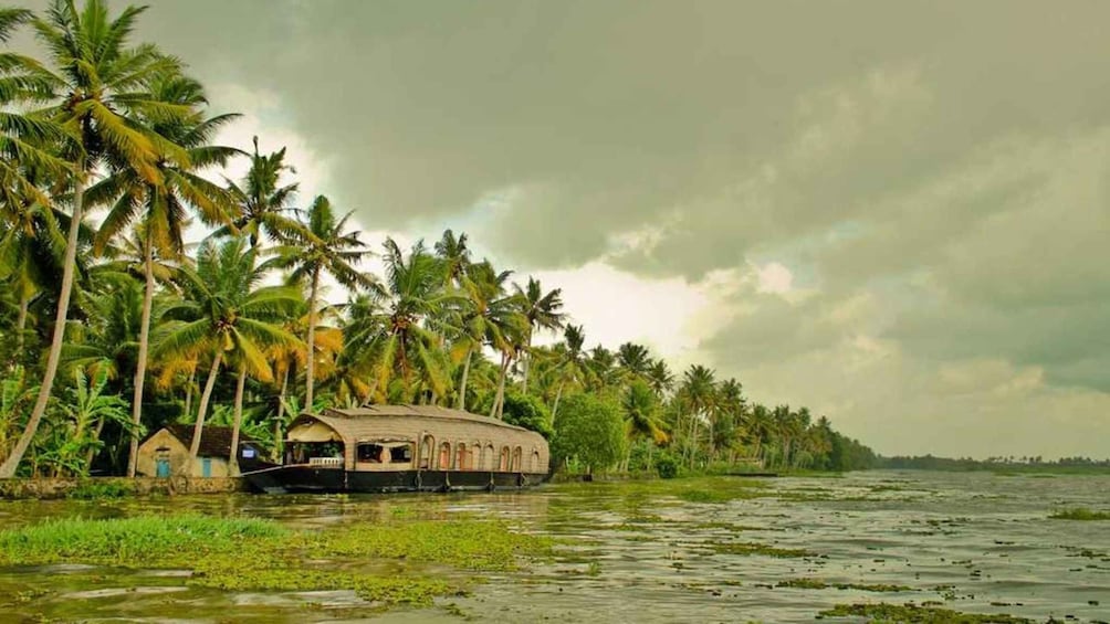 A houseboat on a river surrounded by palm trees. 4