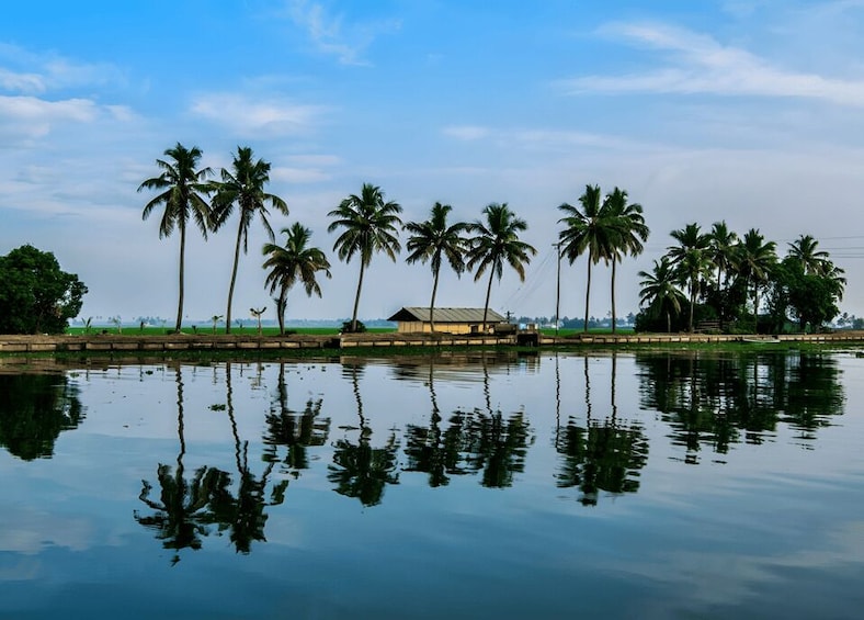 A calm water body with reflections of palm trees and a small structure. 5