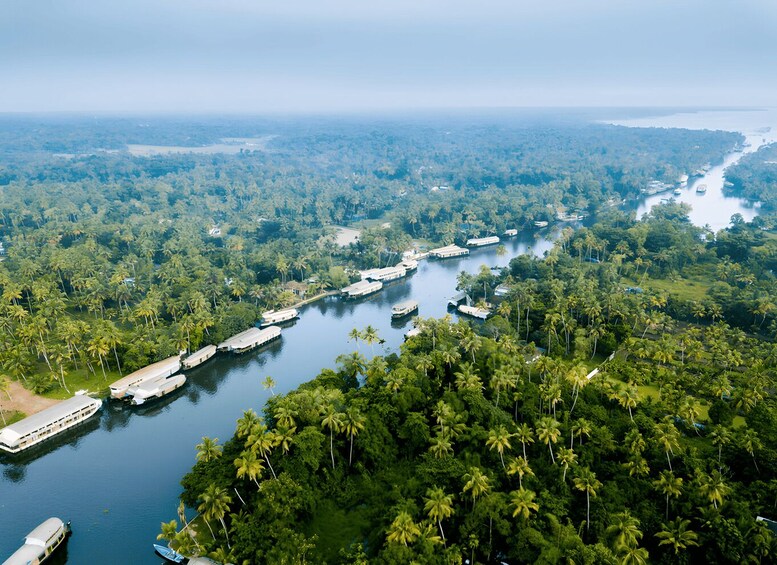 A river winding through a dense forest with several boats docked along the banks. 1
