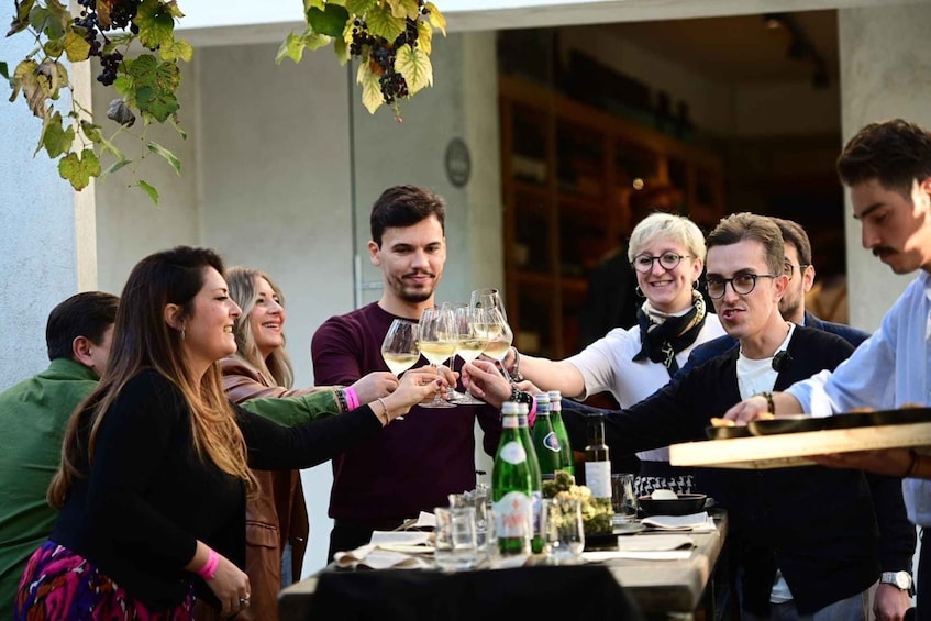 A group of people toasting with wine glasses at an outdoor gathering. 1