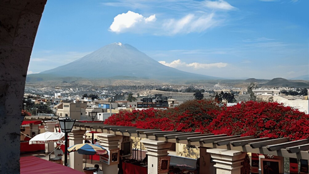 Picture 2 for Activity Arequipa: Half Day Panoramic City Tour 2