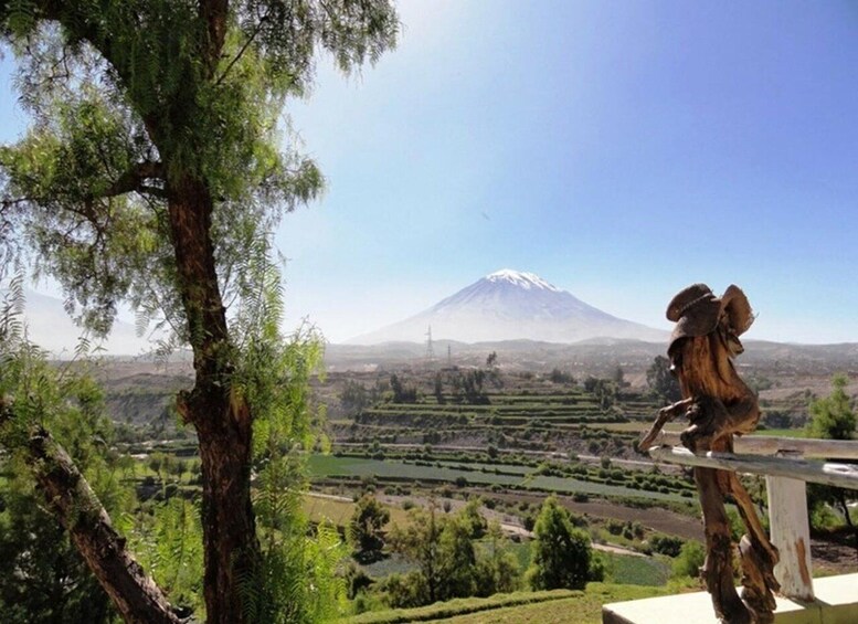 Picture 8 for Activity Arequipa: Half Day Panoramic City Tour 3