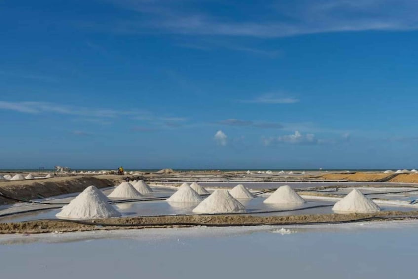 La Guajira: Manaure Salt Mines Tour and Wayuu Ranch 1