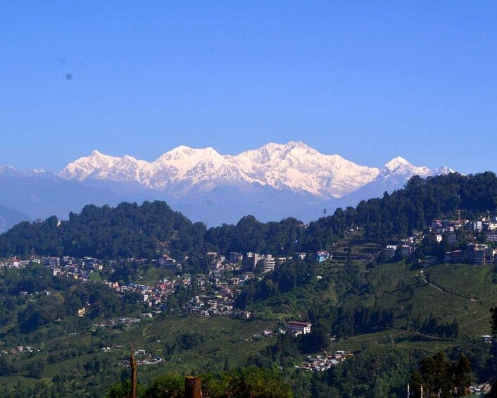 Darjeeling Cultural & Nature Walking Guided Tour 1