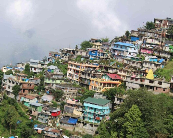 Picture 7 for Activity Darjeeling Cultural & Nature Walking Guided Tour 5