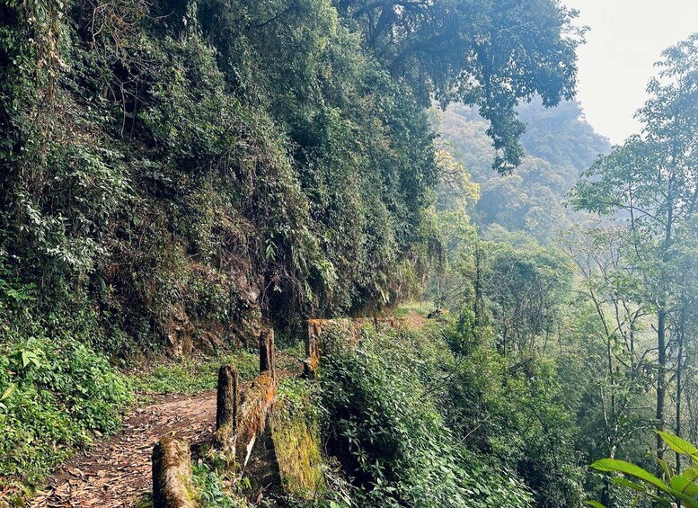 Picture 10 for Activity Darjeeling Cultural & Nature Walking Guided Tour 3