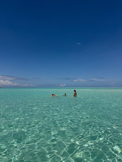 Picture 6 for Activity Mnemba Island full day trip with BBQ-seafood lunch 2